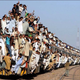 Illustration for article titled TAY Open Forum - All Aboard the HYPE Train